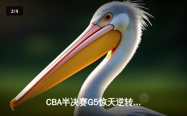 CBA半决赛G5惊天逆转！辽宁本钢加时险胜广东宏远晋级总决赛 - 2